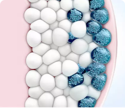 fat tissue with some fat cells being cooled